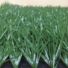 草国产,探寻自然与文化的交融之地